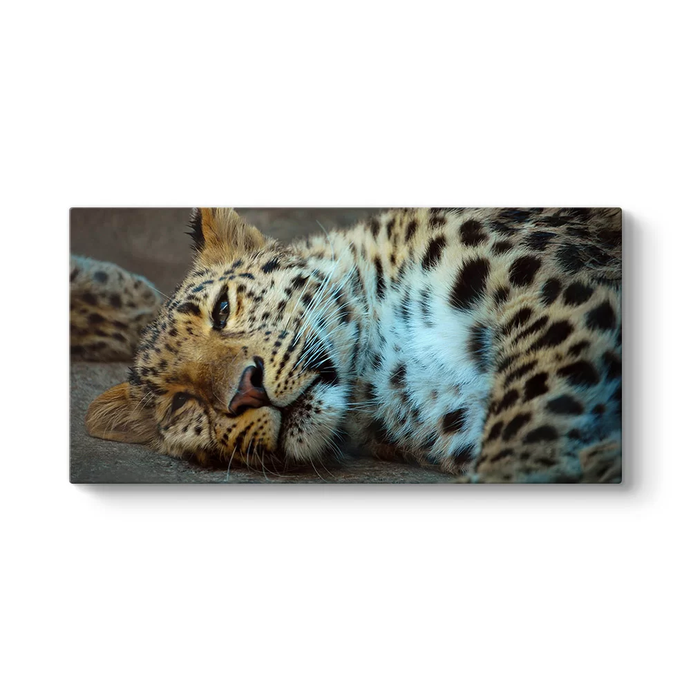 Leopar Tablosu - Model 5